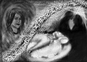 Sega Liwet (Nur Holipah)